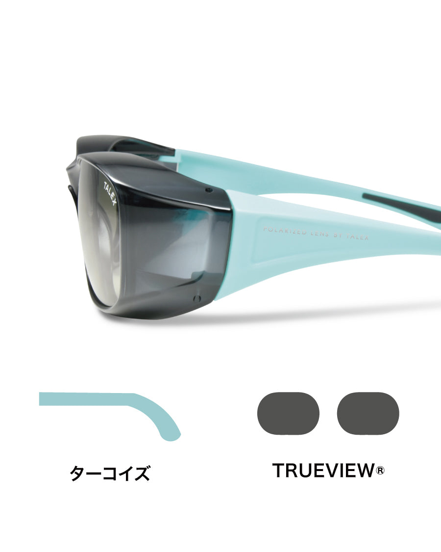 EMCオーバーグラス［ダークグレー］ -TRUEVIEW® – TALEX online store
