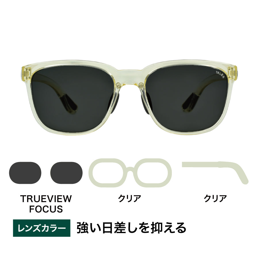 terlex trueview focus クリアランス オーバーグラス