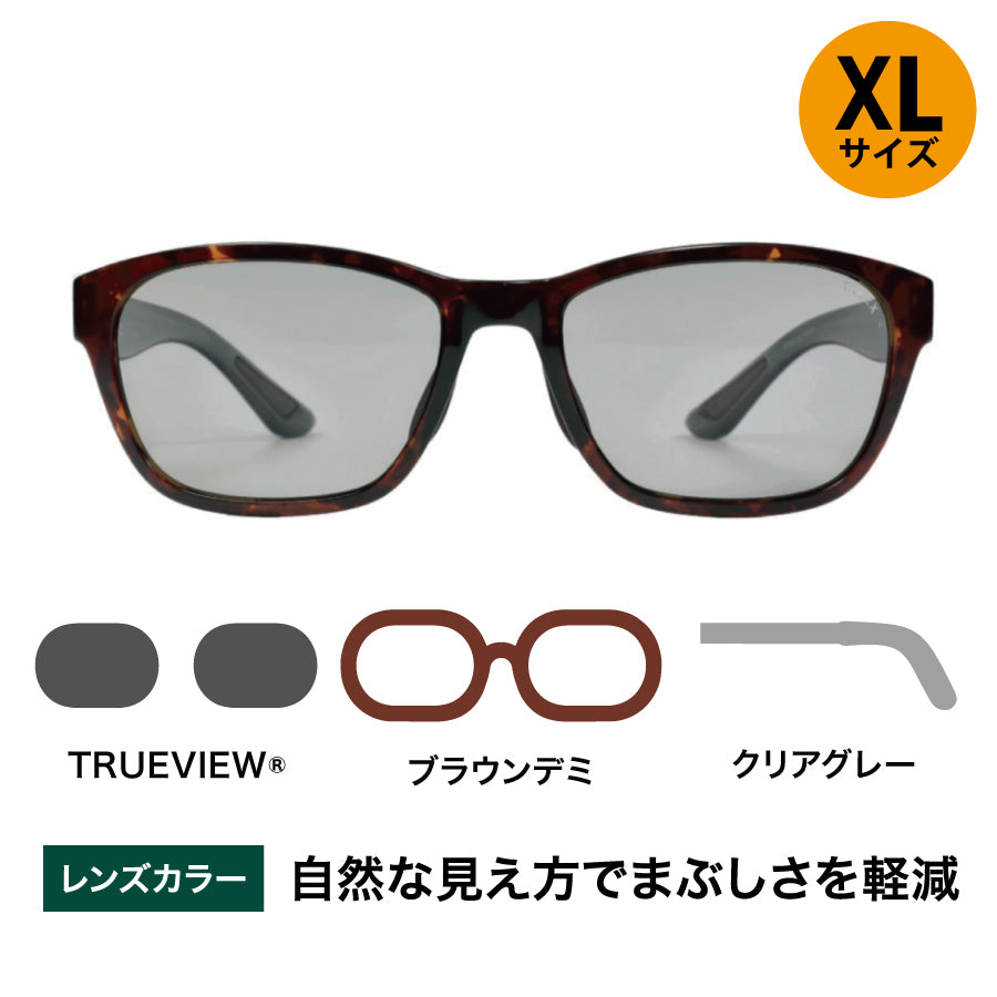 FLAT19 -TRUEVIEW®