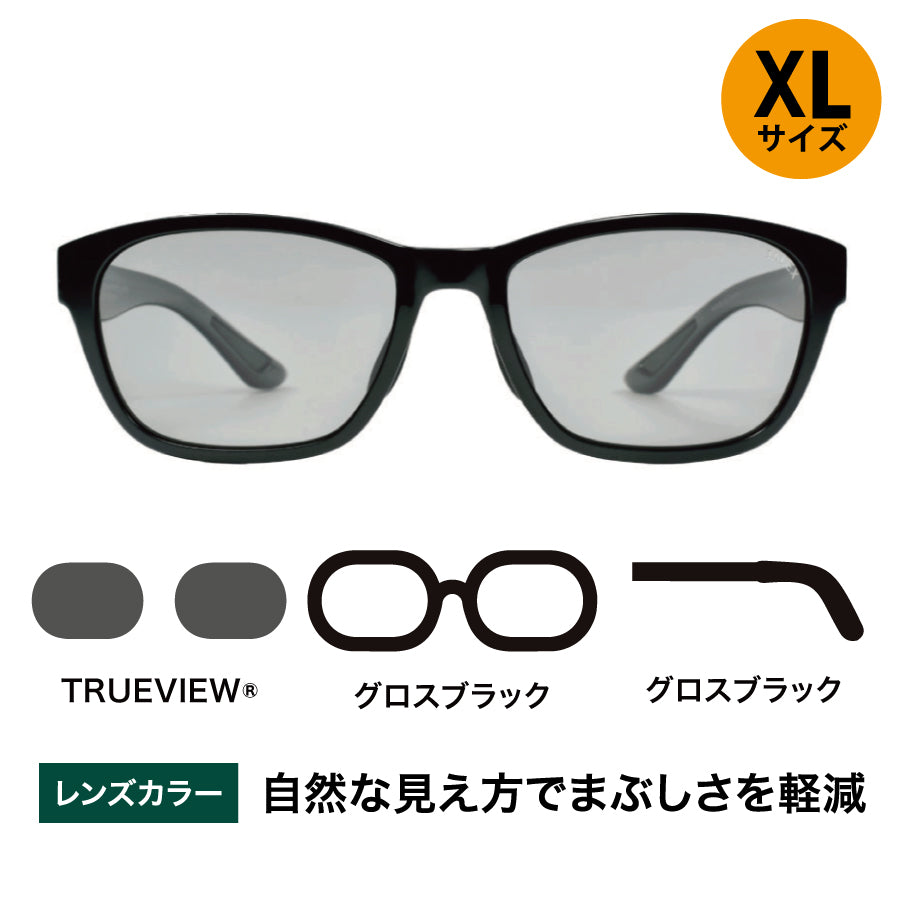 OZNIS | オズニス / FLAT19 -TRUEVIEW® – TALEX online store