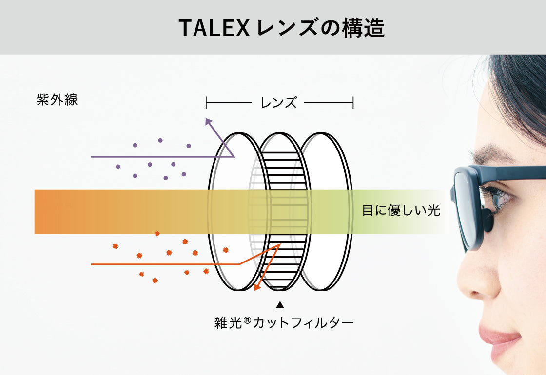 タレックス レンズの構造