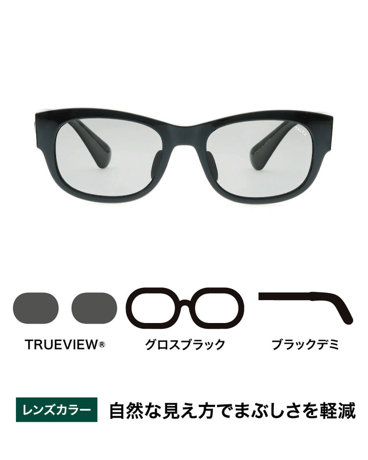 OZNIS by TALEX サングラス FLATシリーズ ケース・クロス付き OZNIS | オズニス / FLAT05 -TRUEVIEW® – TALEX online store