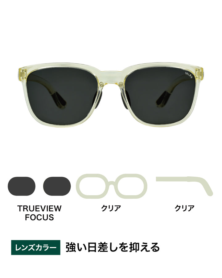FLAT18 -TRUEVIEW FOCUS – TALEX online store